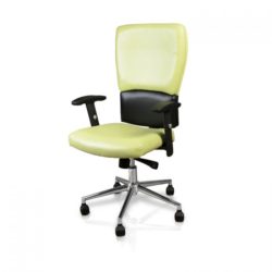 euro_chair_lime_fusion